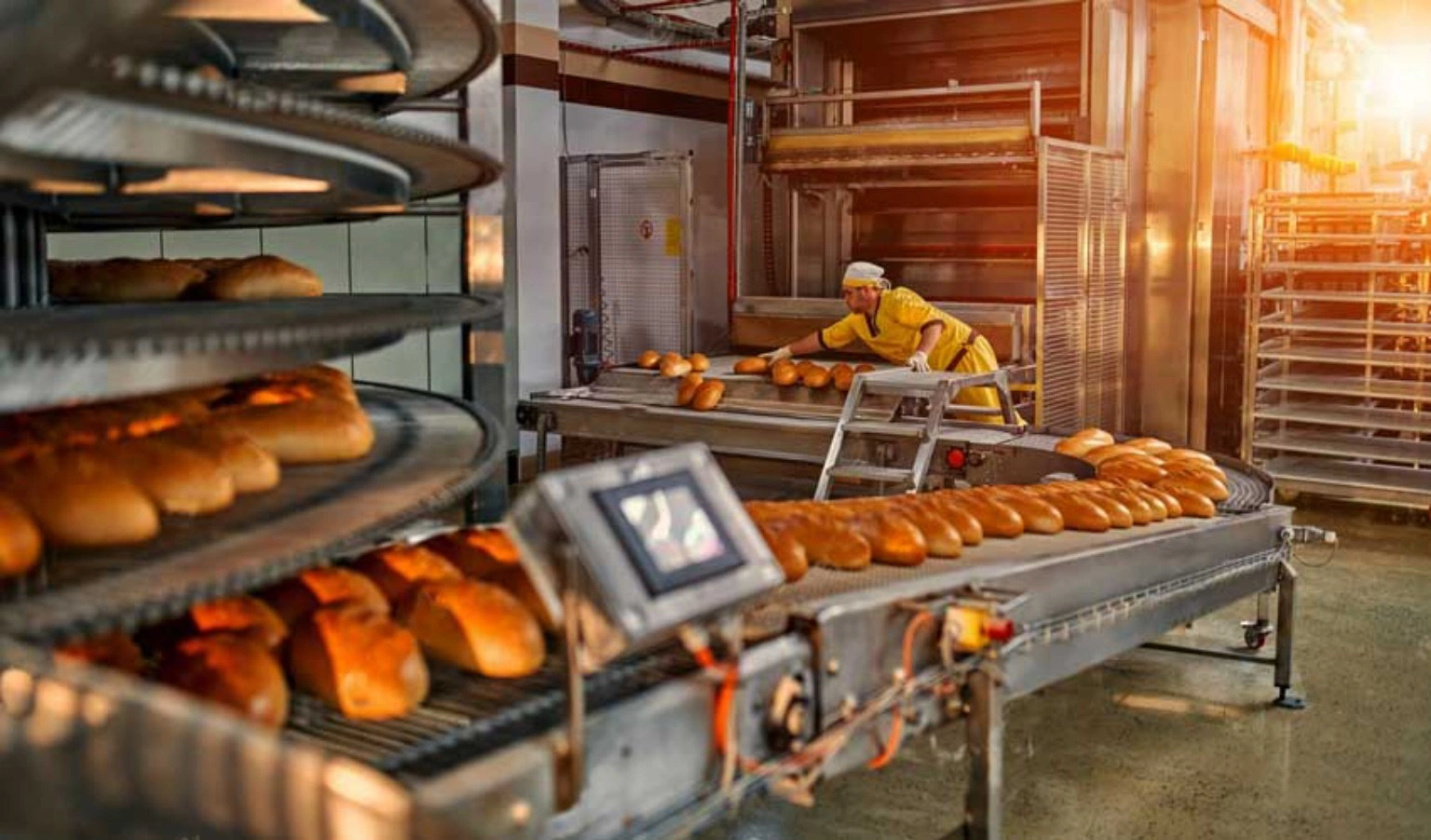 Industrial bakery bread production line from Iran for continuous commercial baking